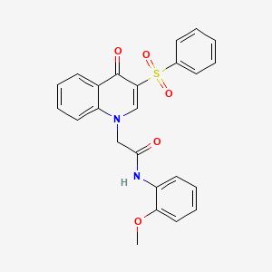 molecular formula C24H20N2O5S B2523286 2-[3-(benzenesulfonyl)-4-oxoquinolin-1-yl]-N-(2-methoxyphenyl)acetamide CAS No. 866725-66-8