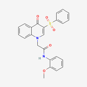 molecular formula C24H20N2O5S B2523286 2-[3-(苯磺酰基)-4-氧代-1,4-二氢喹啉-1-基]-N-(2-甲氧基苯基)乙酰胺 CAS No. 866725-66-8