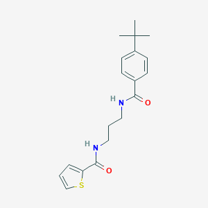 molecular formula C19H24N2O2S B252359 N-(3-{[(4-tert-butylphenyl)carbonyl]amino}propyl)thiophene-2-carboxamide 