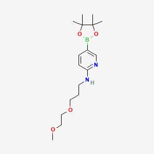 N-[3-(2-methoxyethoxy)propyl]-5-(tetramethyl-1,3,2-dioxaborolan-2-yl)pyridin-2-amine