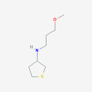 molecular formula C8H17NOS B2524237 N-(3-methoxypropyl)thiolan-3-amine CAS No. 416887-36-0