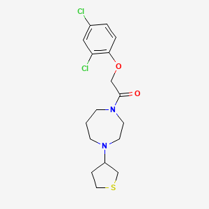 2-(2,4-dichlorophenoxy)-1-[4-(thiolan-3-yl)-1,4-diazepan-1-yl]ethan-1-one