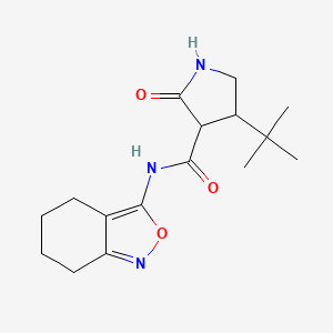 4-tert-butyl-2-oxo-N-(4,5,6,7-tetrahydro-2,1-benzoxazol-3-yl)pyrrolidine-3-carboxamide