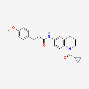 molecular formula C23H26N2O3 B2526484 N-[1-(cyclopropanecarbonyl)-3,4-dihydro-2H-quinolin-6-yl]-3-(4-methoxyphenyl)propanamide CAS No. 946245-39-2
