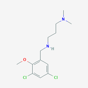 N-(3,5-dichloro-2-methoxybenzyl)-N-[3-(dimethylamino)propyl]amine
