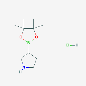 3-(4,4,5,5-Tetramethyl-1,3,2-dioxaborolan-2-yl)pyrrolidine;hydrochloride