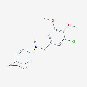 molecular formula C19H26ClNO2 B252735 N-(2-adamantyl)-N-(3-chloro-4,5-dimethoxybenzyl)amine 