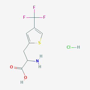 molecular formula C8H9ClF3NO2S B2527581 2-氨基-3-[4-(三氟甲基)噻吩-2-基]丙酸；盐酸盐 CAS No. 2260932-89-4