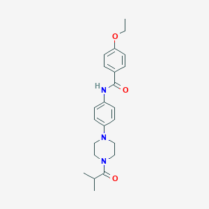 molecular formula C23H29N3O3 B252812 4-ethoxy-N-[4-(4-isobutyryl-1-piperazinyl)phenyl]benzamide 