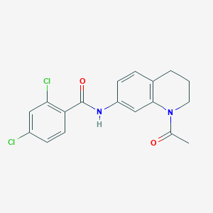 N-(1-acetyl-3,4-dihydro-2H-quinolin-7-yl)-2,4-dichlorobenzamide