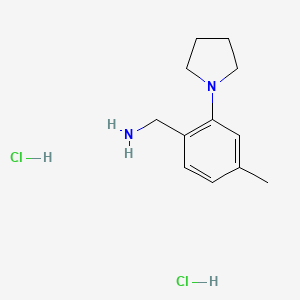 molecular formula C12H20Cl2N2 B2528251 (4-Methyl-2-pyrrolidin-1-ylphenyl)methanamine;dihydrochloride CAS No. 2490405-97-3