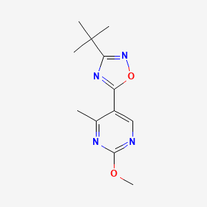 molecular formula C12H16N4O2 B2528308 3-(叔丁基)-5-(2-甲氧基-4-甲基嘧啶-5-基)-1,2,4-恶二唑 CAS No. 2034421-48-0