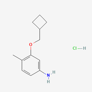 molecular formula C12H18ClNO B2530820 3-(环丁氧基甲氧基)-4-甲基苯胺；盐酸盐 CAS No. 2580206-98-8