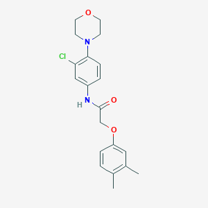 molecular formula C20H23ClN2O3 B253083 N-(3-Chloro-4-morpholin-4-yl-phenyl)-2-(3,4-dimethyl-phenoxy)-acetamide 