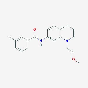 molecular formula C20H24N2O2 B2530903 N-(1-(2-methoxyethyl)-1,2,3,4-tetrahydroquinolin-7-yl)-3-methylbenzamide CAS No. 1169978-42-0
