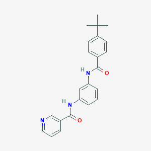 molecular formula C23H23N3O2 B253099 N-{3-[(4-tert-butylbenzoyl)amino]phenyl}nicotinamide 