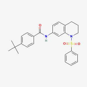 molecular formula C26H28N2O3S B2532210 4-tert-butyl-N-[1-(phenylsulfonyl)-1,2,3,4-tetrahydroquinolin-7-yl]benzamide CAS No. 1005299-63-7
