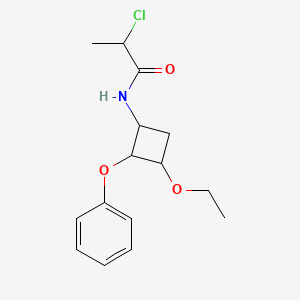 2-Chloro-N-(3-ethoxy-2-phenoxycyclobutyl)propanamide