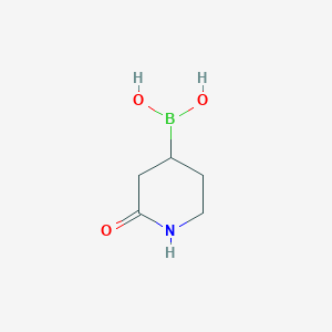 molecular formula C5H10BNO3 B2532955 (2-Oxopiperidin-4-yl)boronic acid CAS No. 2377587-43-2