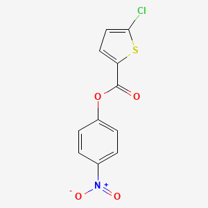 molecular formula C11H6ClNO4S B2533172 4-ニトロフェニル 5-クロロチオフェン-2-カルボキシレート CAS No. 1450877-56-1