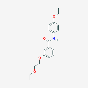 molecular formula C19H23NO4 B253325 3-(2-ethoxyethoxy)-N-(4-ethoxyphenyl)benzamide 