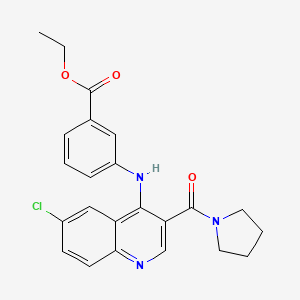 molecular formula C23H22ClN3O3 B2533260 Ethyl 3-((6-chloro-3-(pyrrolidine-1-carbonyl)quinolin-4-yl)amino)benzoate CAS No. 1358236-84-6