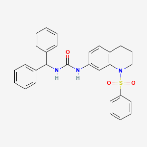 1-Benzhydryl-3-(1-(phenylsulfonyl)-1,2,3,4-tetrahydroquinolin-7-yl)urea