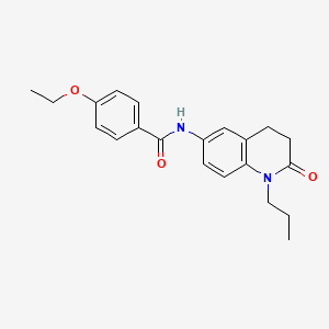 molecular formula C21H24N2O3 B2533769 4-ethoxy-N-(2-oxo-1-propyl-1,2,3,4-tetrahydroquinolin-6-yl)benzamide CAS No. 954608-21-0