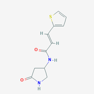 (E)-N-(5-oxopyrrolidin-3-yl)-3-(thiophen-2-yl)acrylamide