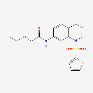 2-ethoxy-N-[1-(thiophene-2-sulfonyl)-1,2,3,4-tetrahydroquinolin-7-yl]acetamide