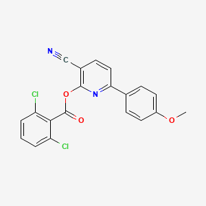 molecular formula C20H12Cl2N2O3 B2534730 3-氰基-6-(4-甲氧基苯基)-2-吡啶基 2,6-二氯苯甲酸酯 CAS No. 303152-18-3