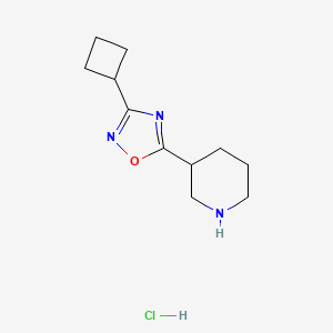 molecular formula C11H18ClN3O B2535162 3-(3-Cyclobutyl-1,2,4-oxadiazol-5-yl)piperidine hydrochloride CAS No. 1380300-28-6