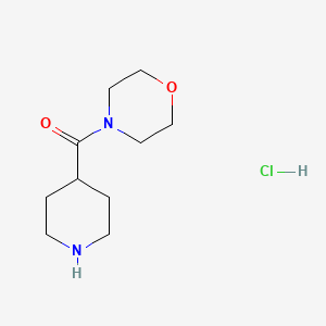 Morpholino(piperidin-4-yl)methanone hydrochloride