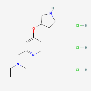 molecular formula C13H24Cl3N3O B2535661 N-Methyl-N-[(4-pyrrolidin-3-yloxypyridin-2-yl)methyl]ethanamine;trihydrochloride CAS No. 2197481-86-8