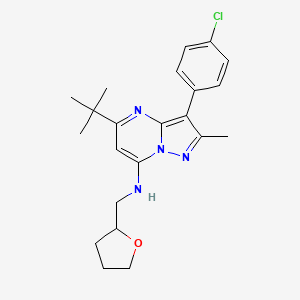 molecular formula C22H27ClN4O B2535743 5-tert-butyl-3-(4-chlorophenyl)-2-methyl-N-(tetrahydrofuran-2-ylmethyl)pyrazolo[1,5-a]pyrimidin-7-amine CAS No. 850763-88-1