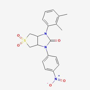 molecular formula C19H19N3O5S B2536029 1-(2,3-二甲基苯基)-3-(4-硝基苯基)四氢-1H-噻吩[3,4-d]咪唑-2(3H)-酮 5,5-二氧化物 CAS No. 879930-66-2