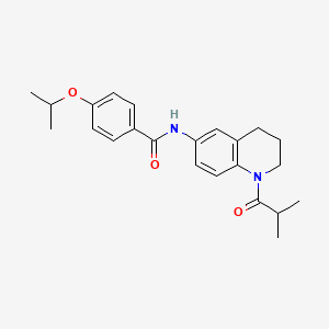 molecular formula C23H28N2O3 B2536354 N-(1-isobutyryl-1,2,3,4-tetrahydroquinolin-6-yl)-4-isopropoxybenzamide CAS No. 954081-41-5