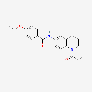 N-[1-(2-methylpropanoyl)-1,2,3,4-tetrahydroquinolin-6-yl]-4-(propan-2-yloxy)benzamide