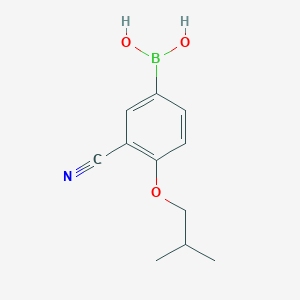 molecular formula C11H14BNO3 B2536592 (3-氰基-4-异丁氧基苯基)硼酸 CAS No. 876918-32-0