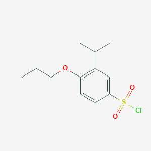 molecular formula C12H17ClO3S B2536705 3-(Propan-2-yl)-4-propoxybenzene-1-sulfonyl chloride CAS No. 1094454-32-6