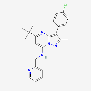 molecular formula C23H24ClN5 B2538197 5-tert-butyl-3-(4-chlorophenyl)-2-methyl-N-(pyridin-2-ylmethyl)pyrazolo[1,5-a]pyrimidin-7-amine CAS No. 862244-40-4