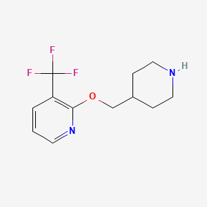 molecular formula C12H15F3N2O B2538810 2-(哌啶-4-基甲氧基)-3-(三氟甲基)吡啶 CAS No. 1281603-94-8