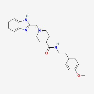 molecular formula C23H28N4O2 B2539401 1-((1H-苯并[d]咪唑-2-基)甲基)-N-(4-甲氧基苯乙基)哌啶-4-甲酰胺 CAS No. 1207041-98-2