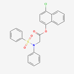molecular formula C24H18ClNO4S B2539889 4-氯-1-萘基 2-[(苯磺酰)苯胺基]乙酸酯 CAS No. 343373-65-9