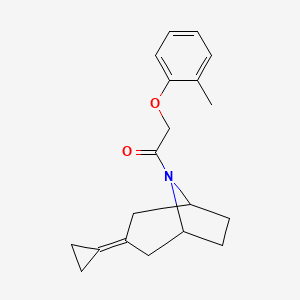 molecular formula C19H23NO2 B2540080 1-{3-Cyclopropylidene-8-azabicyclo[3.2.1]octan-8-yl}-2-(2-methylphenoxy)ethan-1-one CAS No. 2176069-28-4