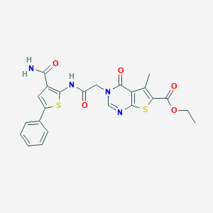molecular formula C23H20N4O5S2 B254041 Ethyl 3-(2-((3-carbamoyl-5-phenylthiophen-2-yl)amino)-2-oxoethyl)-5-methyl-4-oxo-3,4-dihydrothieno[2,3-d]pyrimidine-6-carboxylate 