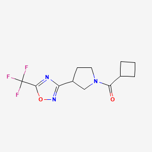 Cyclobutyl(3-(5-(trifluoromethyl)-1,2,4-oxadiazol-3-yl)pyrrolidin-1-yl)methanone