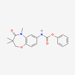 molecular formula C19H20N2O4 B2540708 Phenyl (3,3,5-trimethyl-4-oxo-2,3,4,5-tetrahydrobenzo[b][1,4]oxazepin-7-yl)carbamate CAS No. 921586-36-9