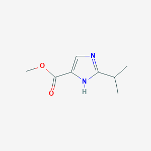 molecular formula C8H12N2O2 B2540837 Methyl 2-isopropyl-1H-imidazole-4-carboxylate CAS No. 1249269-64-4