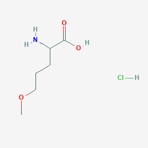 molecular formula C6H14ClNO3 B2540876 2-Amino-5-methoxypentanoic acid hydrochloride CAS No. 1394040-04-0